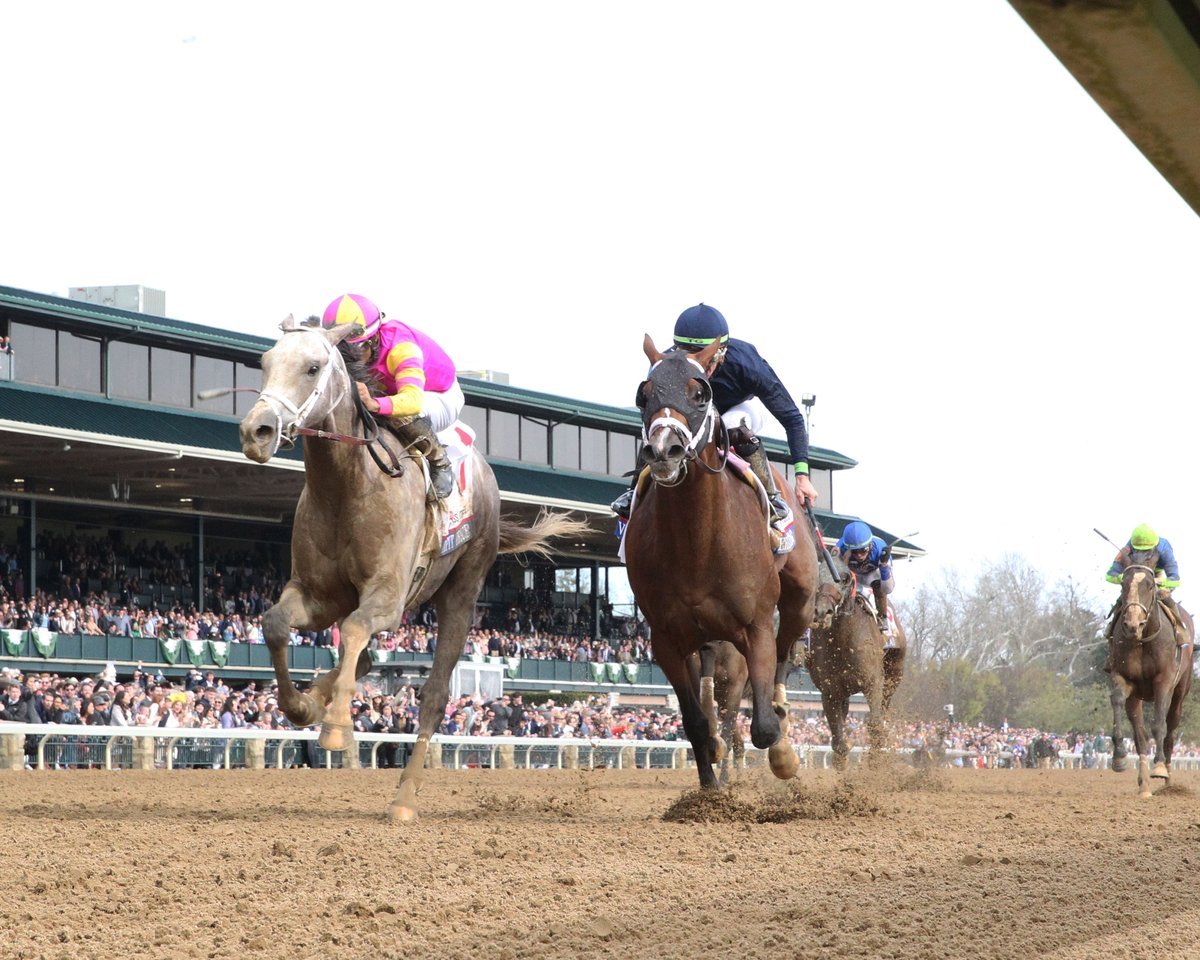 road-to-the-kentucky-derby:-forte-remains-solid-favorite-as-field-solidifies