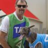 greyhounds,-puppies-beaten-by-trainer-at-champion-aussie-kennel-in-shock-video